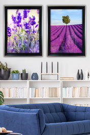 Wallity Cuadros Decorativos Enmarcados de 35 x 45 cm (2 Piezas)